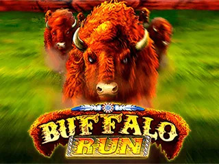 Buffalo Run