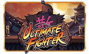 Ultimate Fighter